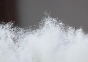 Recent Advances in High Performance Bio-based Elastic Fibers